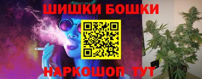 гашик Дубна