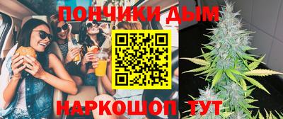гашик Дубна