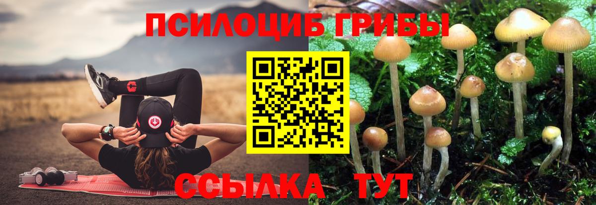 Галлюциногенные грибы MAGIC MUSHROOMS Новокуйбышевск